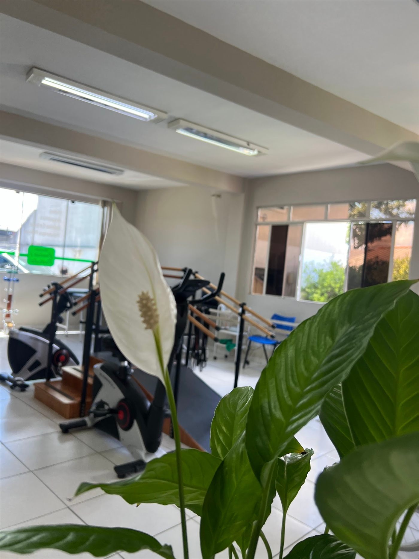 Aparelhos de fisioterapia vistos por trás de uma planta